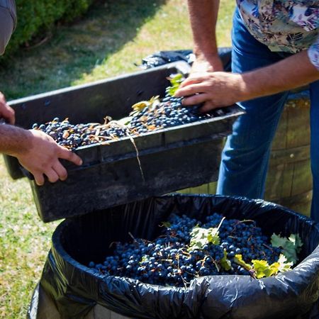 Todoroff Wine Residence Brestovica  Bagian luar foto